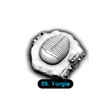Load image into Gallery viewer, [1-05] Yorgia
