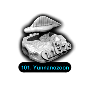 No.101 Yunnanozoon