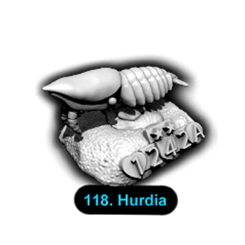 No.118 Hurdia