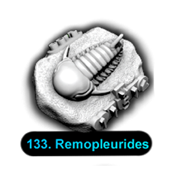 No.133 Remopleurides