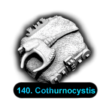 No.140 Cothurnocystic