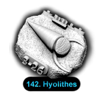 No.142 Hyolithes