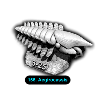 No.156 Aegirocassis