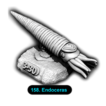 No.158 Endoceras