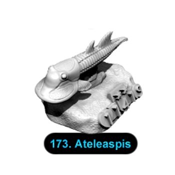 No.173 Ateleaspis