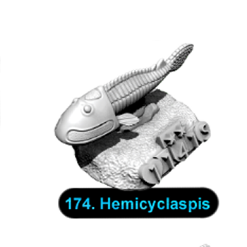 No.174 Hemicyclaspis