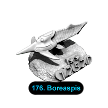 No.176 Boreaspis