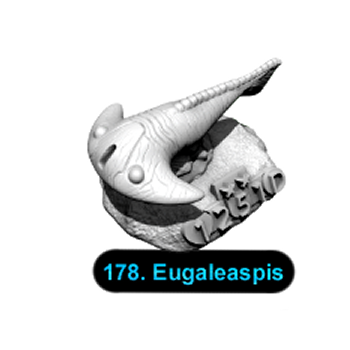 No.178 Eugaleaspis