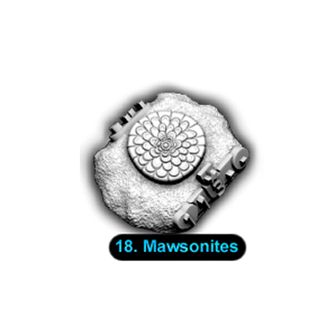 No.018 Mawsonites