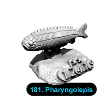 No.181 Pharyngolepis