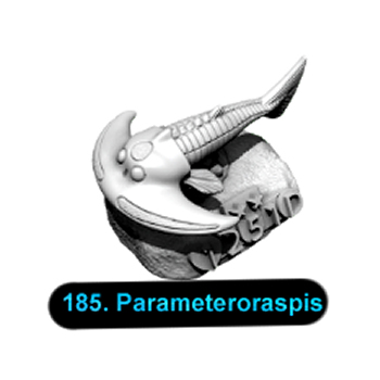 No.185 Parameteroraspis