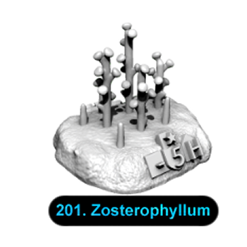No.201 Zosterophyllum