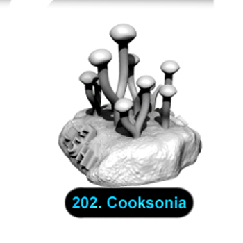 No.202 Cooksonia