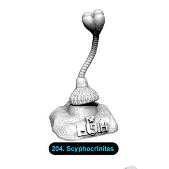 No.204 Scyphocrinites