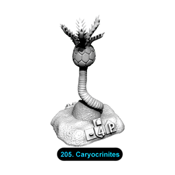 No.205 Caryocrinites