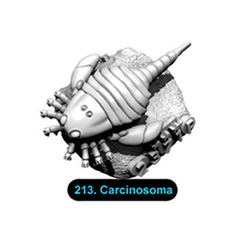 No.213 Carcinosoma