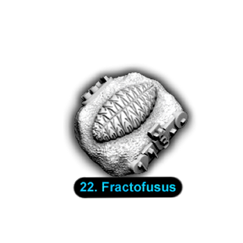 No.022 Fractofusus