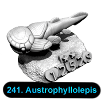 No.241 Austrophyllolepis