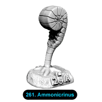 No.261 Ammonicrinus
