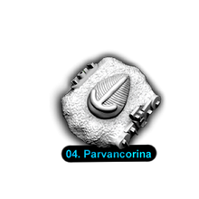 Load image into Gallery viewer, [1-04] Parvancorina
