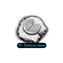 Load image into Gallery viewer, [1-07] Ovatoscutum
