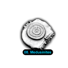 Load image into Gallery viewer, [1-08] No.008 Medusinites
