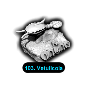 No.103 Vetulicola
