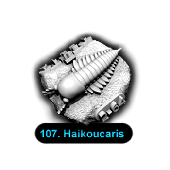 No.107 Haikoucaris