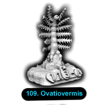 No.109 Ovatiovermis
