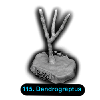 No.115 Dendrograptus