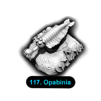 No.117 Opabinia