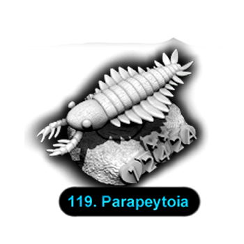No.119 Parapeytoia