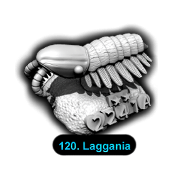 No.120 Laggania