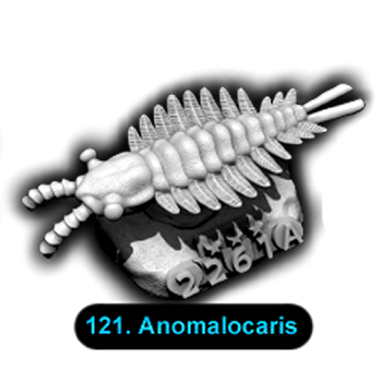 No.121 Anomalocaris