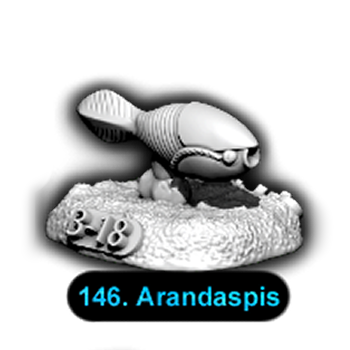 No.146 Arandaspis