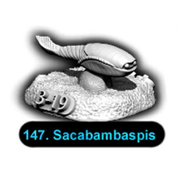 No.147 Sacabambaspis