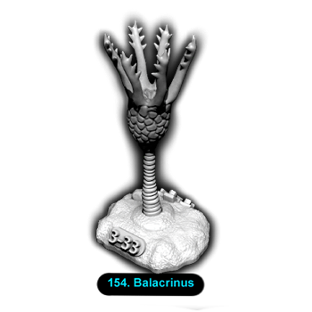 No.154 Balacrinus