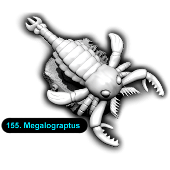 megalograptus fossil