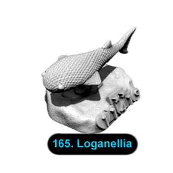 No.165 Loganellia