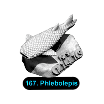No.167 Phlebolepis