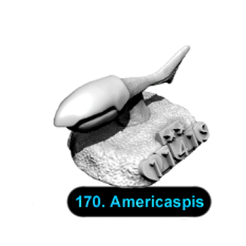 No.170 Americaspis