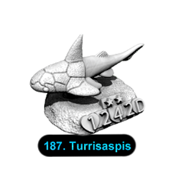 No.187 Turrisaspis