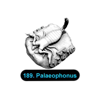 No.189 Palaeophonus