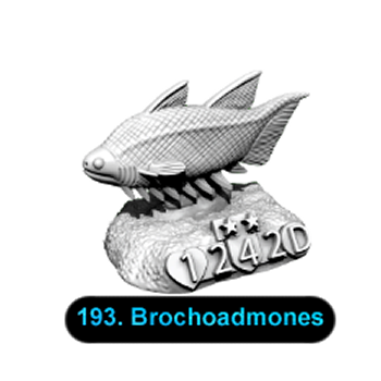 No.193 Brochoadmones