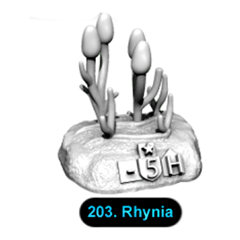 No.203 Rhynia
