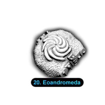 No.020 Eoandromeda