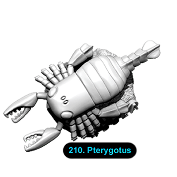 No.210 Pterygotus