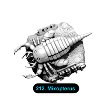 No.212 Mixopterus