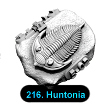 No.216 Huntonia
