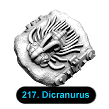 No.217 Dicranurus